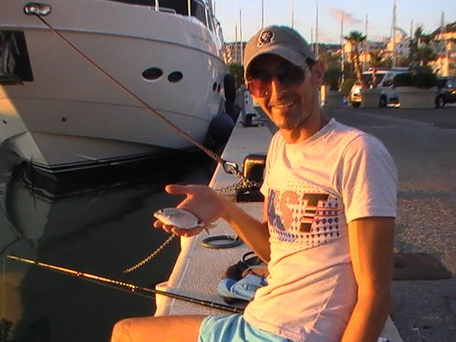 incep sa apara pesti din franta - 2013-09-05-194454-1.jpg